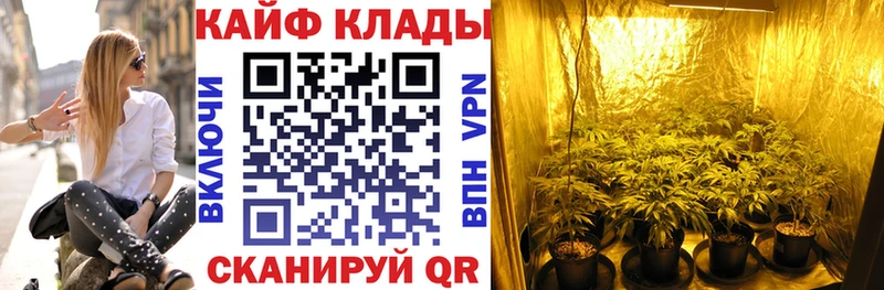 Alpha PVP Судак