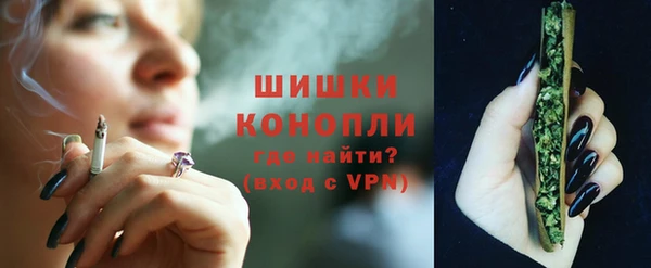 гашик Балахна