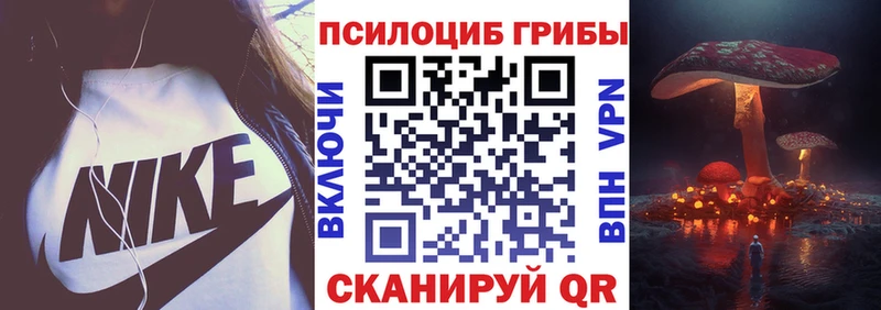 Галлюциногенные грибы ЛСД Судак