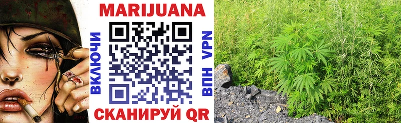 Каннабис план Судак