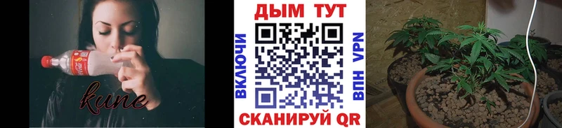 Каннабис White Widow  Судак 